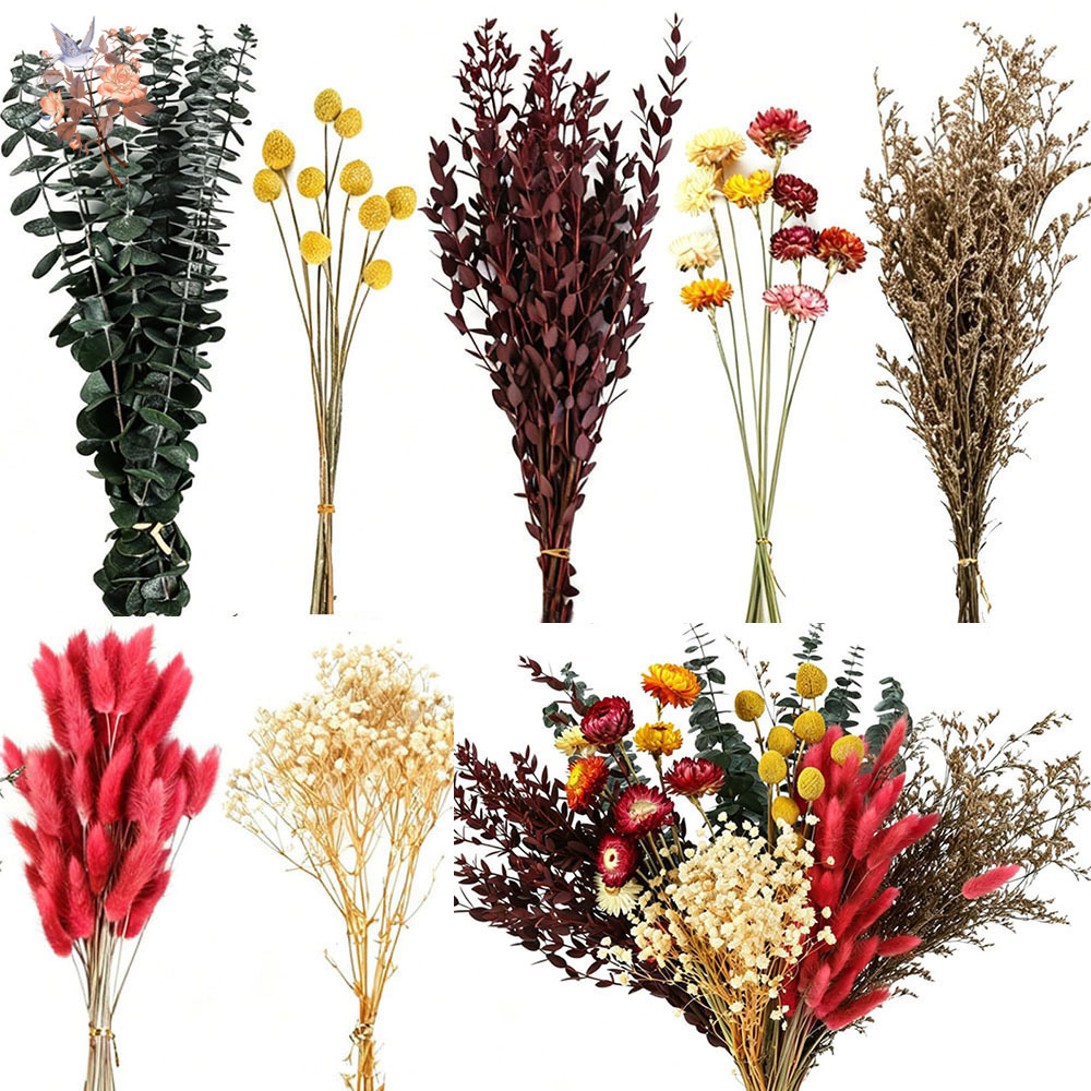 Dried Flower Bulk - Gedroogde bloemen, grootverpakking met 7 soorten,