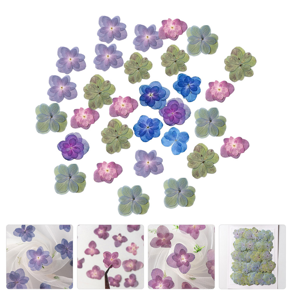 Dried Flower Bulk - 30 stuks veelkleurige geperste gedroogde bloemen