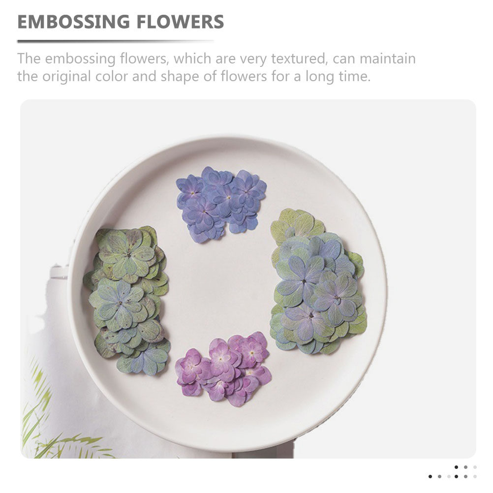 30 stuks veelkleurige geperste - Dried Flower Bulk recensie en prijs