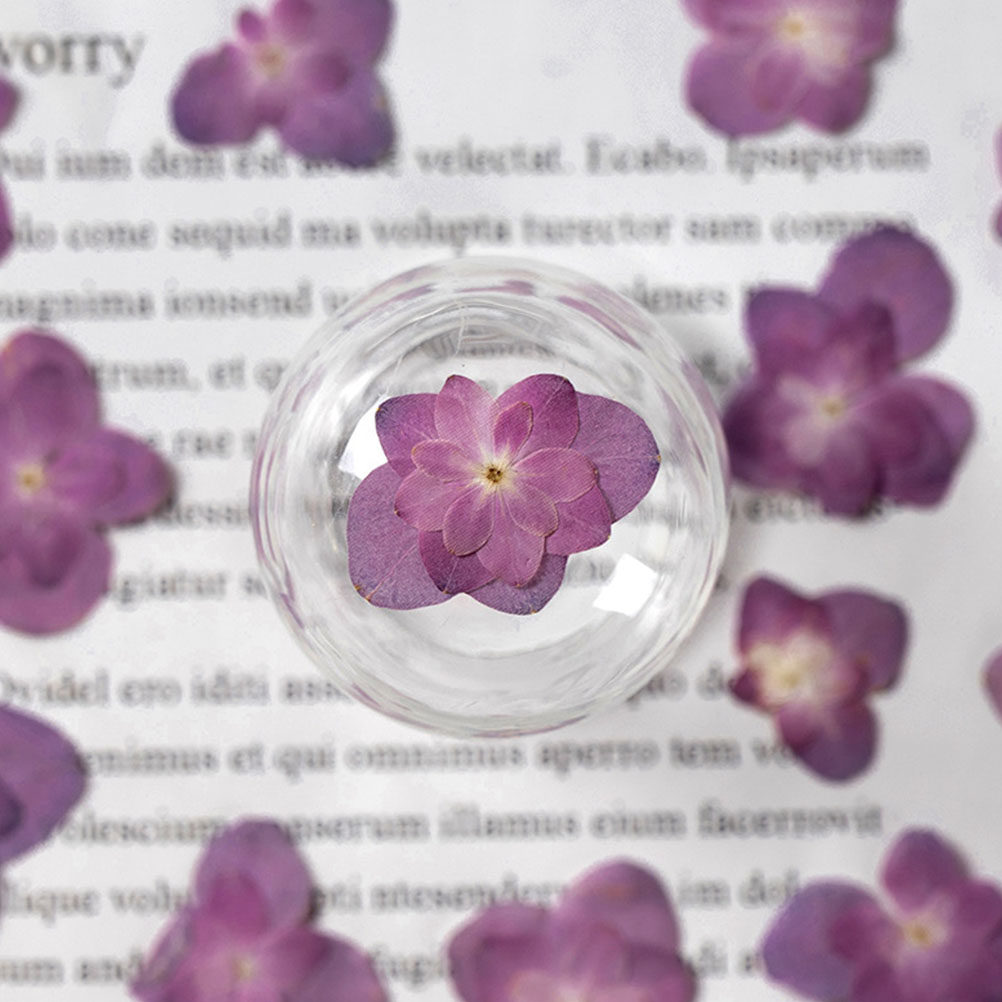 30 stuks veelkleurige geperste - Dried Flower Bulk recensie en prijs