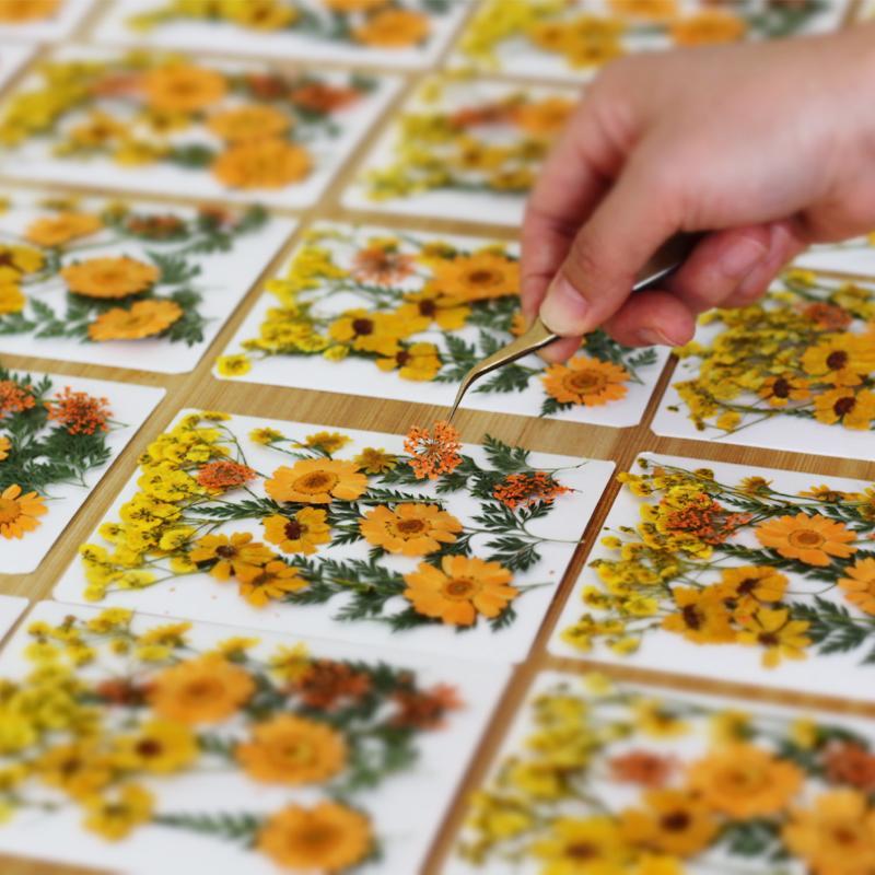 Echte natuurlijke gedroogde pl - Flower Preservation Resin recensie en prijs