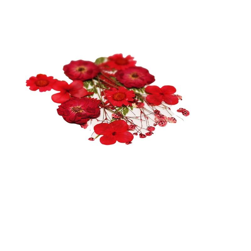 Echte natuurlijke gedroogde pl - Flower Preservation Resin recensie en prijs