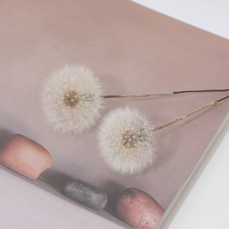 Gedroogde paardenbloem DIY epo - Resin Crafts Diy recensie en prijs